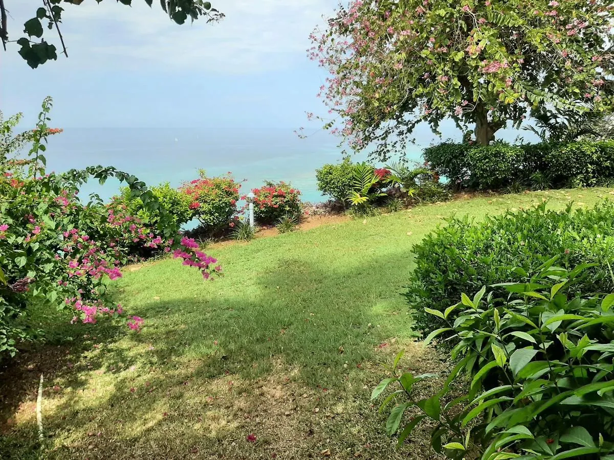 Aparthotel Beach Condos -Montego Bay Club Beach Resort
